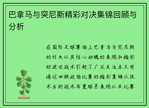 巴拿马与突尼斯精彩对决集锦回顾与分析